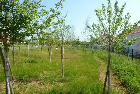 Savart Paysage – paysagiste urbaniste – Urbaniste Marne - Maitre d oeuvre urbaniste Marne - Paysagiste Marne - Fontoy  – aménagement durable – urbanisme – éco-quartier – Pogin
