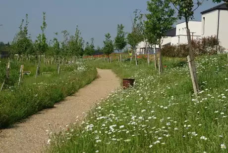 Savart Paysage – paysagiste urbaniste – Urbaniste Marne - Maitre d oeuvre urbaniste Marne - Paysagiste Marne - Fontoy  – aménagement durable – urbanisme – éco-quartier – Pogin