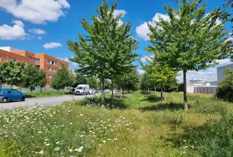 Savart Paysage - Reims - Paysagiste Urbaniste Marne - Paysagiste concepteur Marne - Maître d oeuvre paysagiste Marne - Rémavert - éco-quartier - urbaniste conseil Marne - urbanisme - biodiversité ordinaire - cahier de prescription paysagère et urbaine