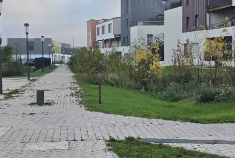 Savart Paysage - Reims - Paysagiste Urbaniste Marne - Paysagiste concepteur Marne - Maître d oeuvre paysagiste Marne - Rémavert - éco-quartier - urbaniste conseil Marne - urbanisme - biodiversité ordinaire - cahier de prescription paysagère et urbaine