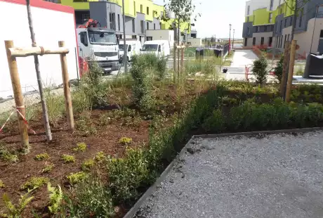 Savart Paysage - Reims - Paysagiste Urbaniste Marne - Paysagiste concepteur Marne - Maître d oeuvre paysagiste Marne - Rémavert - éco-quartier - urbaniste conseil Marne - urbanisme - biodiversité ordinaire - cahier de prescription paysagère et urbaine