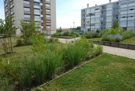 Savart paysage - Pont à Mousson – Meurthe-et-Moselle – Grand Est - requalification urbaine -  renouvellement urbain - développement durable – biodiversité
