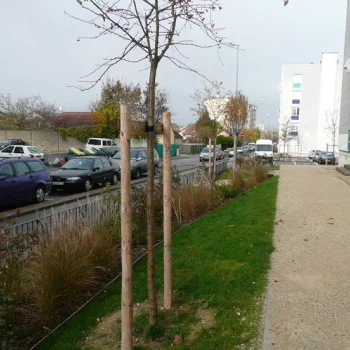 Pieds d’immeubles rue Jean Berthelin