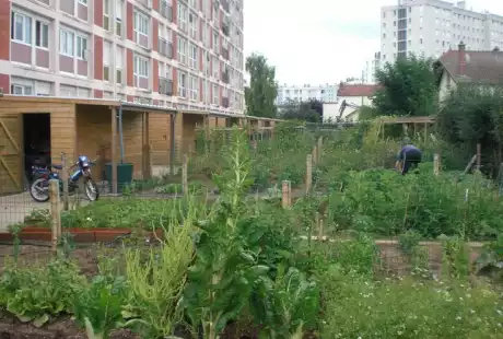 Savart Paysage - Urbaniste - Paysagiste Urbaniste Aube - Renouvellement urbain - requalification urbaine - Troyes - Rue Berthelin - Aube - Mon Logis - Grand-Est