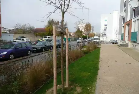 Savart Paysage - Urbaniste - Paysagiste Urbaniste Aube - Renouvellement urbain - requalification urbaine - Troyes - Rue Berthelin - Aube - Mon Logis - Grand-Est