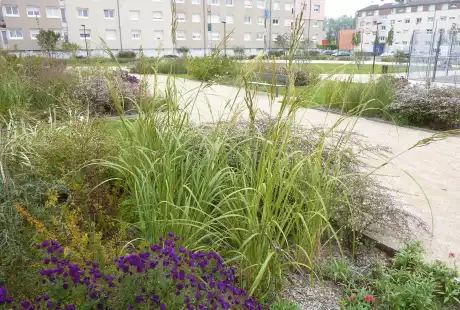 Rethel – renouvellement urbain - Savart Paysage - urbaniste paysagiste-biodiversité-aménagement durable – urbanisme - Ardennes - Grand-Est