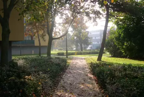 Savart Paysage - Blénod-Lès-Pont-A-Mousson - Revalorisation urbaine – Renouvellement urbain - biodiversité
