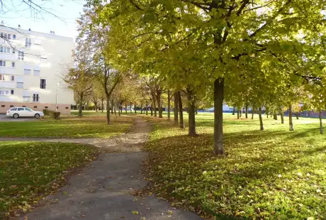Savart Paysage - paysagiste urbaniste – aménagement - espaces publics - Verbeau