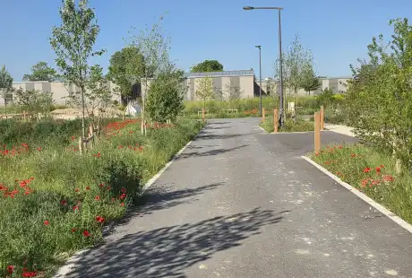 Savart Paysage - paysagiste urbaniste – projet – lotissement – Châlons-en-Champagne – Marne – Champagne-Ardenne- démarche durable – ville forêt