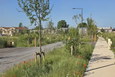 Savart Paysage - paysagiste urbaniste – projet – lotissement – Châlons-en-Champagne – Marne – Champagne-Ardenne- démarche durable – ville forêt