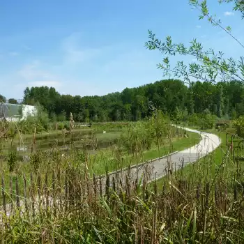 Mail des Îles