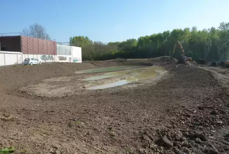 Torcy-Mail des Iles-aménagement écologique-zones humides-connexions hydrauliques-Savart Paysage - urbaniste paysagiste-biodiversité-développement durable