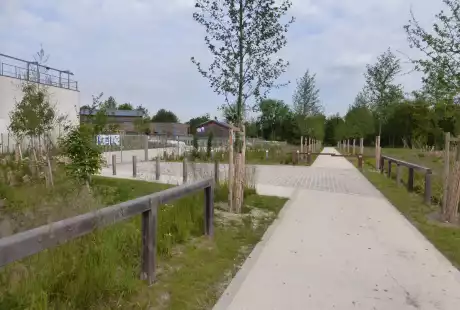 Torcy-Mail des Iles-aménagement écologique-zones humides-connexions hydrauliques-Savart Paysage - urbaniste paysagiste-biodiversité-développement durable