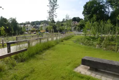 Torcy-Mail des Iles-aménagement écologique-zones humides-connexions hydrauliques-Savart Paysage - urbaniste paysagiste-biodiversité-développement durable