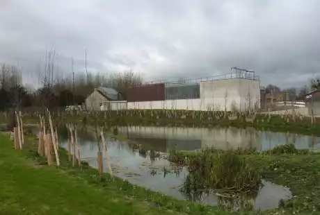Torcy-Mail des Iles-aménagement écologique-zones humides-connexions hydrauliques-Savart Paysage - urbaniste paysagiste-biodiversité-développement durable