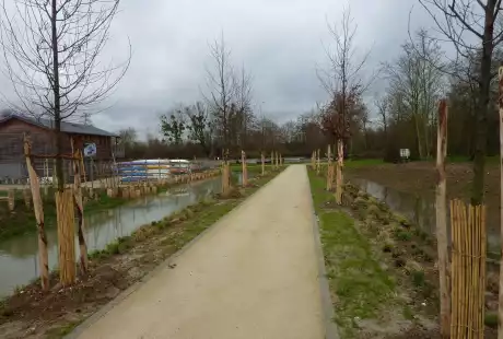 Torcy-Mail des Iles-aménagement écologique-zones humides-connexions hydrauliques-Savart Paysage - urbaniste paysagiste-biodiversité-développement durable