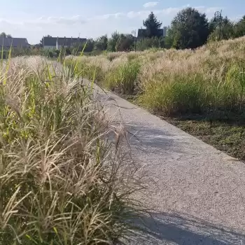 Promenade de Champagne & Parc des latitudes