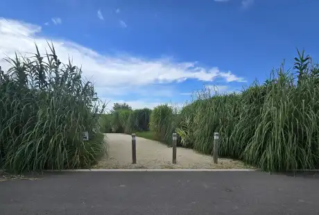 Savart Paysage – Paysagiste Marne – Urbaniste Marne – Paysagiste concepteur Marne - Paysagiste urbaniste - Marne - Haussimont - Promenade de Champagne