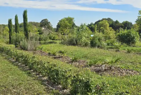Savart Paysage – Paysagiste Marne – Urbaniste Marne – Paysagiste concepteur Marne - Paysagiste urbaniste - Marne - Haussimont - Parc des latitudes