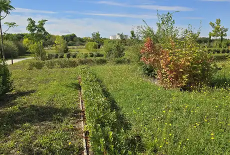 Savart Paysage – Paysagiste Marne – Urbaniste Marne – Paysagiste concepteur Marne - Paysagiste urbaniste - Marne - Haussimont - Parc des latitudes