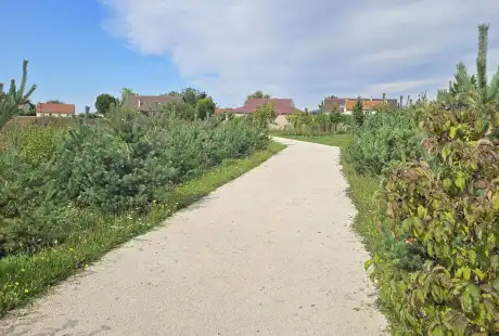 Savart Paysage – Paysagiste Marne – Urbaniste Marne – Paysagiste concepteur Marne - Paysagiste urbaniste - Marne - Haussimont - Promenade de Champagne