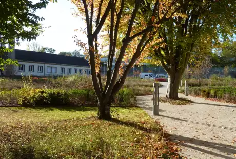 Savart paysage - paysagiste urbaniste - Antony – Hauts-de-Seine – Ile-de-France – IRSTEA – cemagref - jardin privé – développement durable – biodiversité